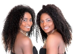 Twin Doves Twin Doves