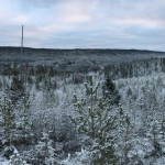 a Efterjakt 2018 ej (3)