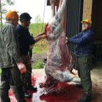 Älgjakt 18 ej 45