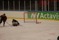 Frölunda - Malmö J20 (35)