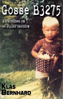 Gosse B3275 - Berättelsen om en stulen barndom - 