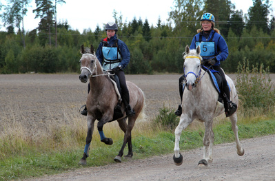 Elf/Ella Lindblom (7) och Kiidaaj/Ewa Mårgård gjorde upp om titeln Årets 6-åriga distansrittshäst. Foto: © Ulf Lonäs Elf/Ella Lindblom (7) och Kiidaaj/Ewa Mårgård gjorde upp om titeln Årets 6-åriga distansrittshäst. Foto: © Ulf Lonäs