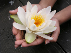passionerad massage tantra i göteborg passionerad massage tantra i göteborg