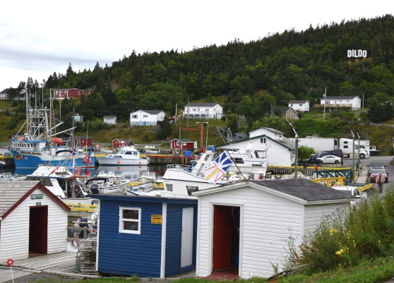 Dildo, Newfoundland Dildo, Newfoundland