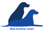Kampfläta XL