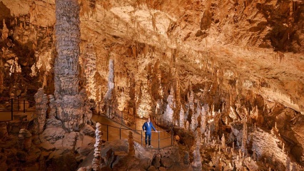 Ingen bild kan förmedla Postojnagrottan på ett rättvist sätt. Du får följa med själv ner i underjorden, 120 meter under jord, och fascineras under 90 minuter i världens längsta grotta som är öppen för allmänheten.