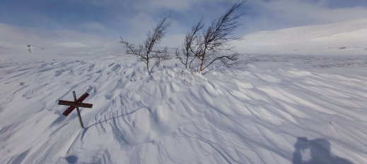 Der Wind hat den losen Schnee weggefegt und die kunstvollen Formen des Harschs freigelegt.