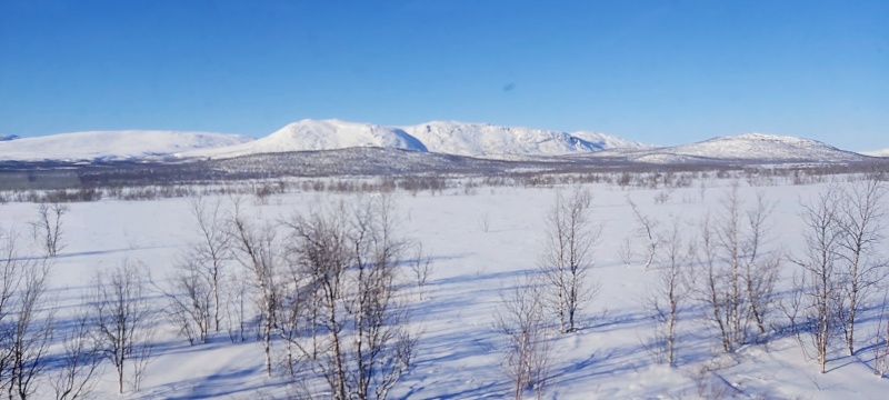 På resan till Abisko njöt alla gäster av den fantastiskt vackra tågsträckan längs Torneträsk som badade i sol och snö. På resan till Abisko njöt alla gäster av den fantastiskt vackra tågsträckan längs Torneträsk som badade i sol och snö.