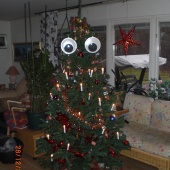 The xmas tree sees you