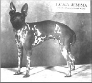Josephines dotter Jemima Josephines dotter Jemima