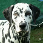 Raji 2006-09-02
