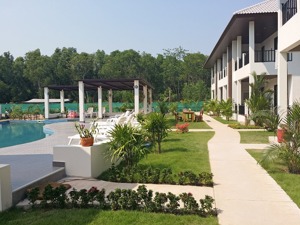 Palm Leaf Poolområde Thailand