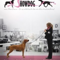 Grafiskt arbete: Annons till Show Dog