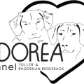 Logo till Adorea Kennel