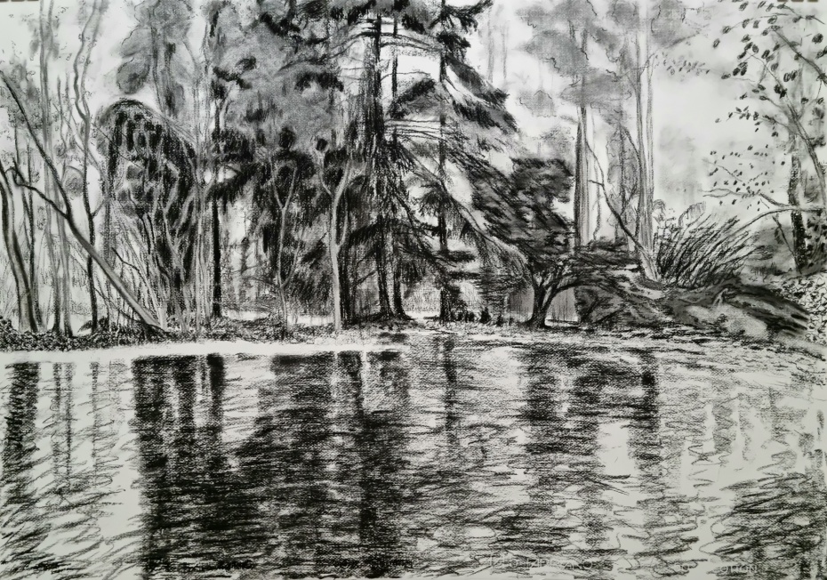 Rising water, charcoal on paper, 70x100cm, 2024