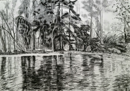 Rising water, charcoal on paper, 2024,  70x100cm