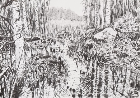 Autum mirrow, charcoal on paper, 2023, 29,5x42cm