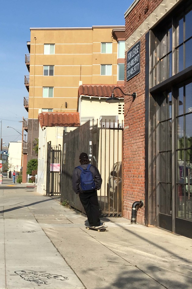 LA skater LA skater