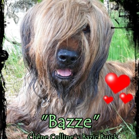 4Bazze