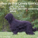 onyxiaAfBd