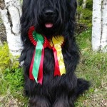 thumbnail_IMG_08671