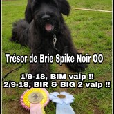 TdB_SpikeNoir