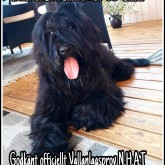 PicsArt_05-01-07.33.11 (1)