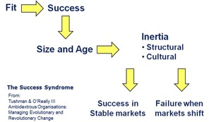 Success Syndromen: Hur succé kan leda till misslyckande