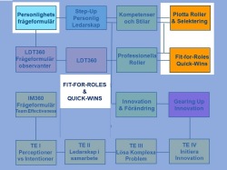LDT-processer för Fit-for-Roles och Quick-Wins