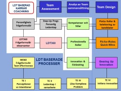 LDT-baserad Karriär Coachnings processen