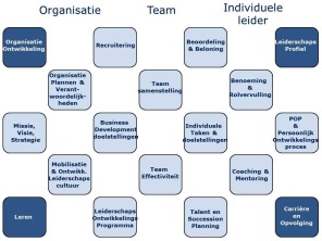 Leiderschapsontwikkeling in een organisatorische context