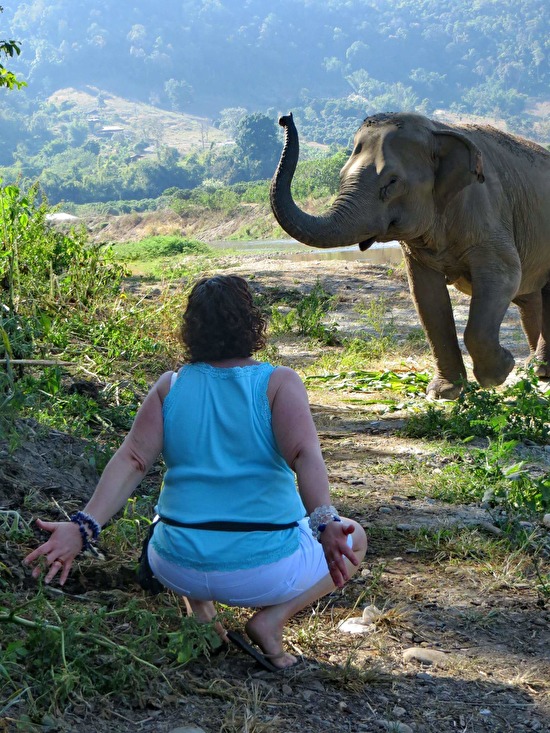 Ann is working with elephants in Chaing Mai, Thailand Ann is working with elephants in Chaing Mai, Thailand