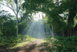 The light is calling on your soul The light is calling on your soul