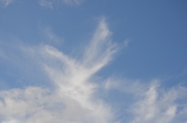 Angels of light is around us Angels of light is around us