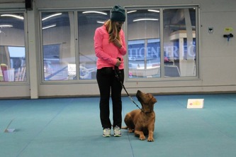 We are practicing for Rally Obedience beginner class We are practicing for Rally Obedience beginner class