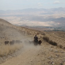 IMG_3184