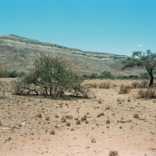 R1-01661-0007