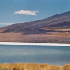 F1000018