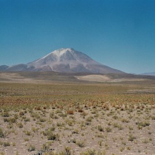 F1000019