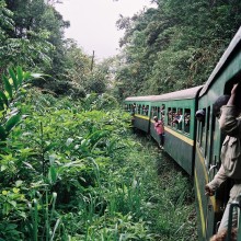 Madagaskar 1