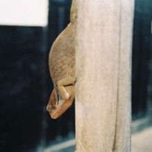 Madagaskar 20