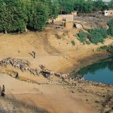Mali 8