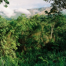 Kamerun 1