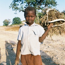 Kamerun 7