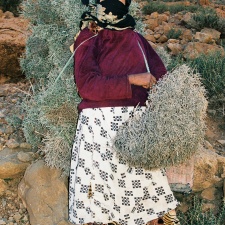 Madagaskar 15