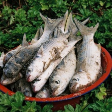São Tomé 14