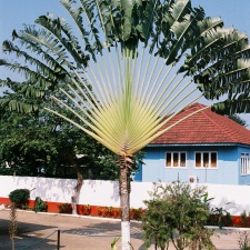 São Tomé 1