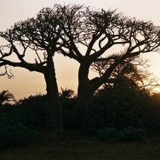 Kamerun 20
