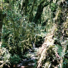Tanzania 2