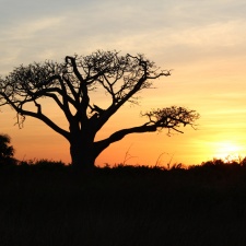 Senegal 1